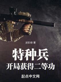 特种兵：开局获得二等功