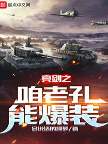 亮剑之咱老孔能爆装